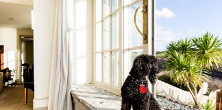 Dog-friendly cottages