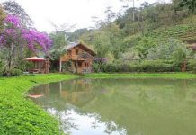 Homestay in Da Lat