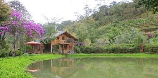 Homestay in Da Lat